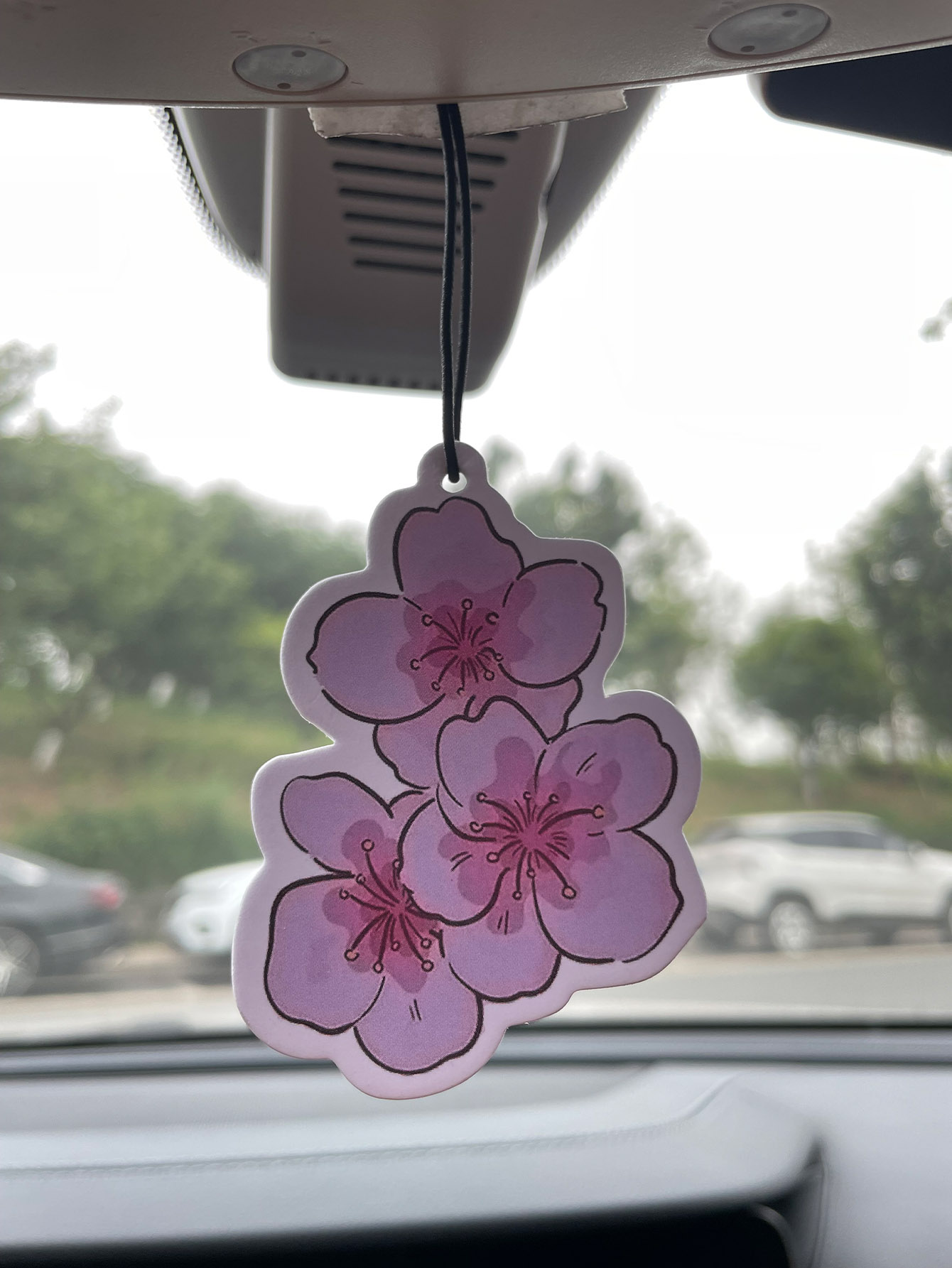 Home Fragrance Non Toxic - Sakura/Frezya Taze Kokulu Beş Yıldızlı Nötr