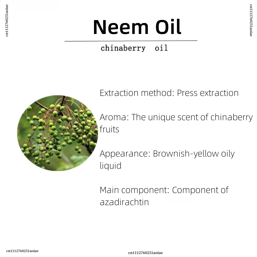 Organik Neem Yağı - Meditasyon - Home Fragrance Incense incelemesi ve fiyatı